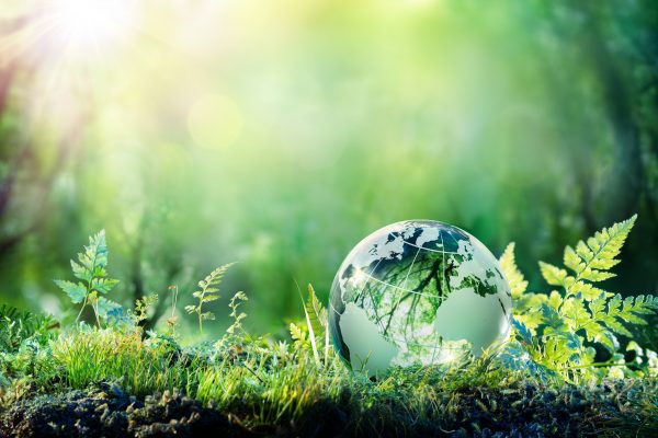 Mimizing Carbon Footprint Globe in Forest